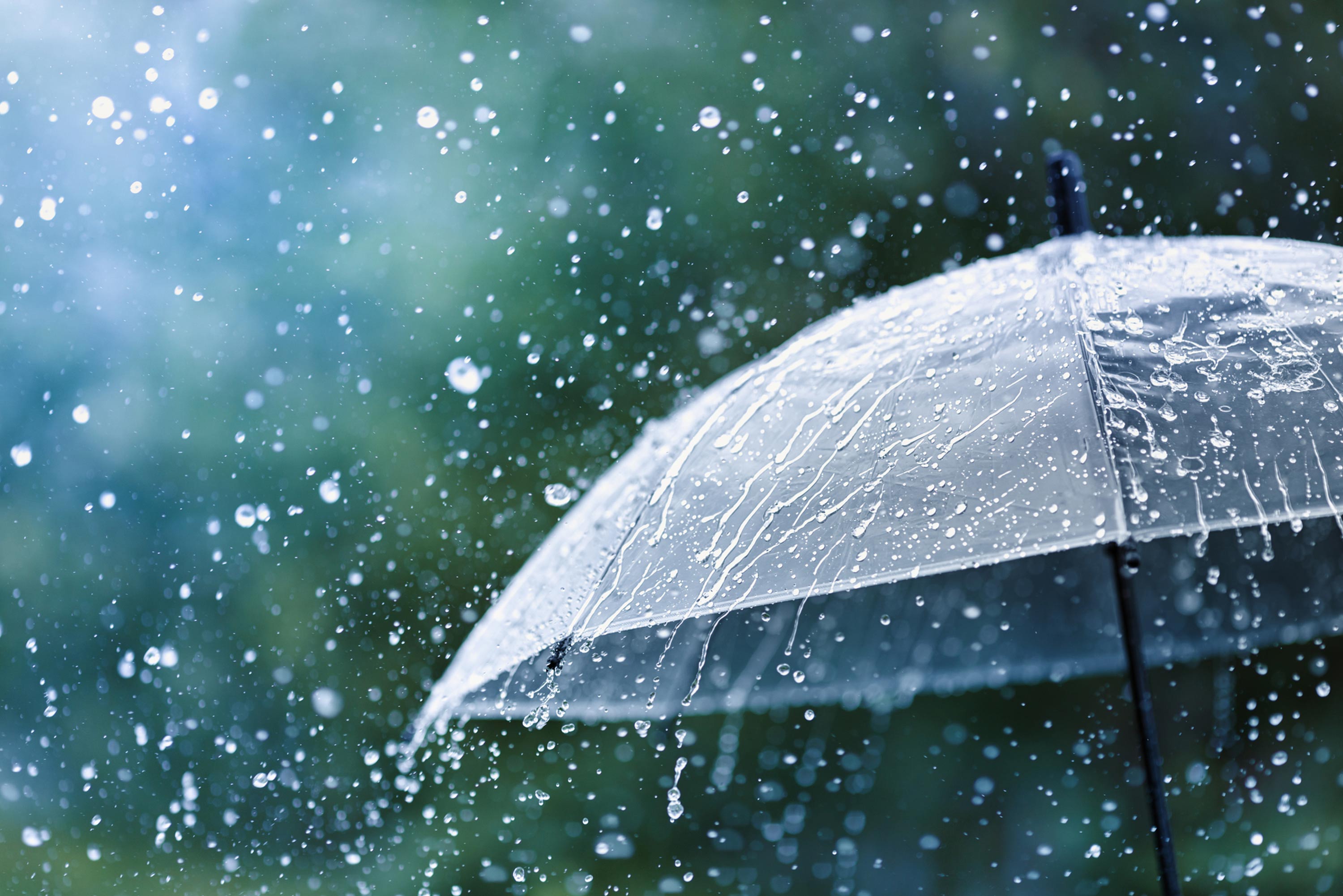 North Carolina Umbrella Insurance Coverage